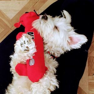 Meet your Posher, Vanesa